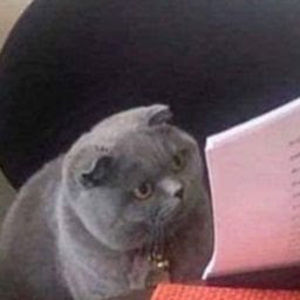 Meet your Posher, Eden